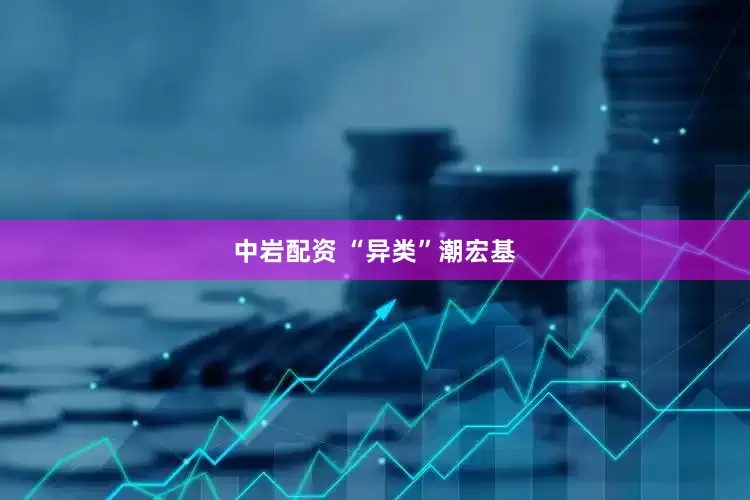 中岩配资 “异类”潮宏基