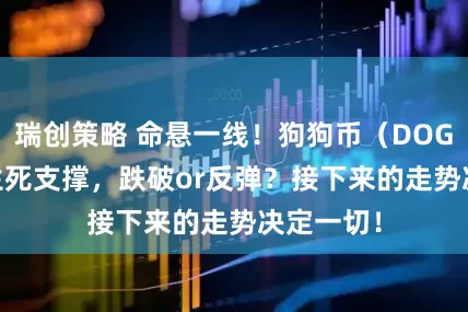 瑞创策略 命悬一线！狗狗币（DOGE) 逼近生死支撑，跌破or反弹？接下来的走势决定一切！