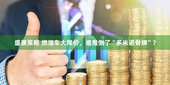 盛康策略 燃油车大降价，谁推倒了“多米诺骨牌”？